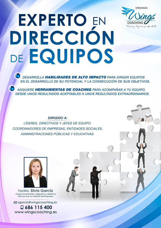 Curso de Experto en dirección de equipos 2016